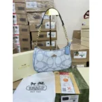 Premium Coach Teri Shoulder Bag With Og Box For Women (BOT4037) - stayhit.in