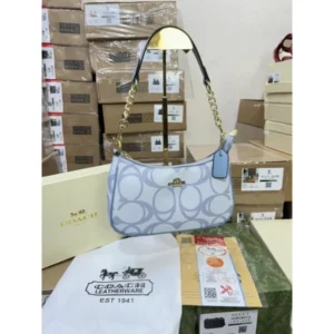 Premium Coach Teri Shoulder Bag With Og Box For Women (BOT4037) - stayhit.in