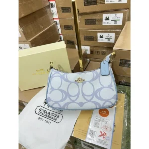 Premium Coach Teri Shoulder Bag With Og Box For Women (BOT4037) - stayhit.in