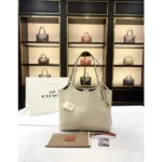 Premium Coach Tote Bag With Dust Bag For Women (BOT3833) - stayhit.in