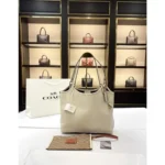 Premium Coach Tote Bag With Dust Bag For Women (BOT3833) - stayhit.in