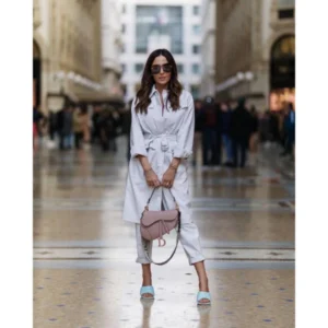 Premium Dior Saddle Bag With Og Box For Women (BT305) - stayhit.in