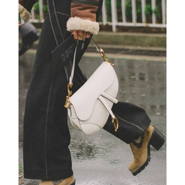 Premium Dior Saddle Bag With Original Box For Women (BT251) - stayhit.in Premium Dior Saddle Bag With Original Box For Women (BT251) - stayhit.in