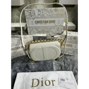 Premium Dior Signature Bag With White Strap & Box For Women (BT26) - stayhit.in