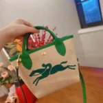 Premium Long Champ Og Aunthentic Bags With Carrybag For Women (BOT2794) - stayhit.in