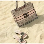 Premium Miss Dior Tote Bag With Og Box Dust Bag For Women (BT294) - stayhit.in