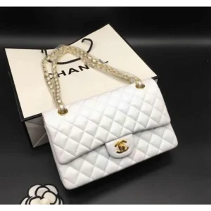 Stylish Chanel Handbag For Women (BOT1728) - stayhit.in