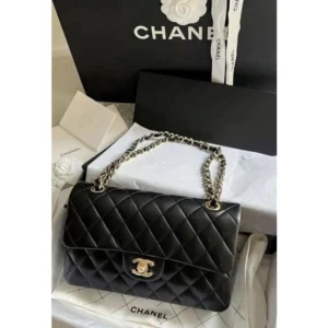 Stylish Chanel Handbag For Women (BOT1729) - stayhit.in