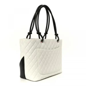 Stylish Chanel Handbag With Dust Bag For Women (BOT3780) - stayhit.in