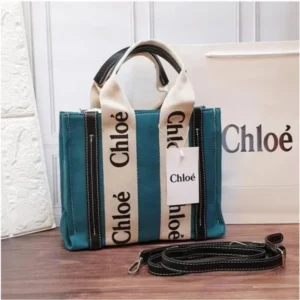 Stylish Chloe Handbag For Women (BOT1723) - stayhit.in