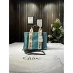 Stylish Chloe Handbag For Women (BOT1723) - stayhit.in