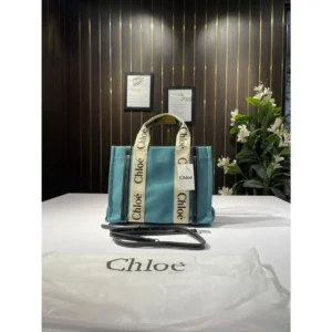 Stylish Chloe Handbag For Women (BOT1723) - stayhit.in
