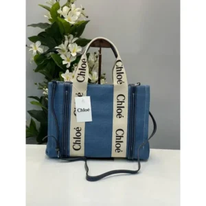 Stylish Chloe Handbag For Women (BOT1724) - stayhit.in