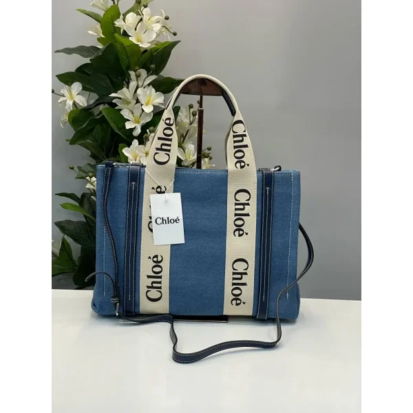 Stylish Chloe Handbag For Women (BOT1724) - stayhit.in Stylish Chloe Handbag For Women (BOT1724) - stayhit.in