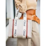 Stylish Chloe Handbag For Women (BOT1725) - stayhit.in