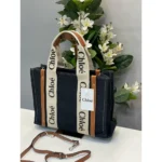 Stylish Chloe Handbag For Women (BOT1726) - stayhit.in