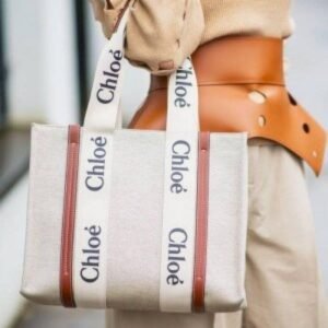 Stylish Chloe Handbag For Women (LAB1597) - stayhit.in