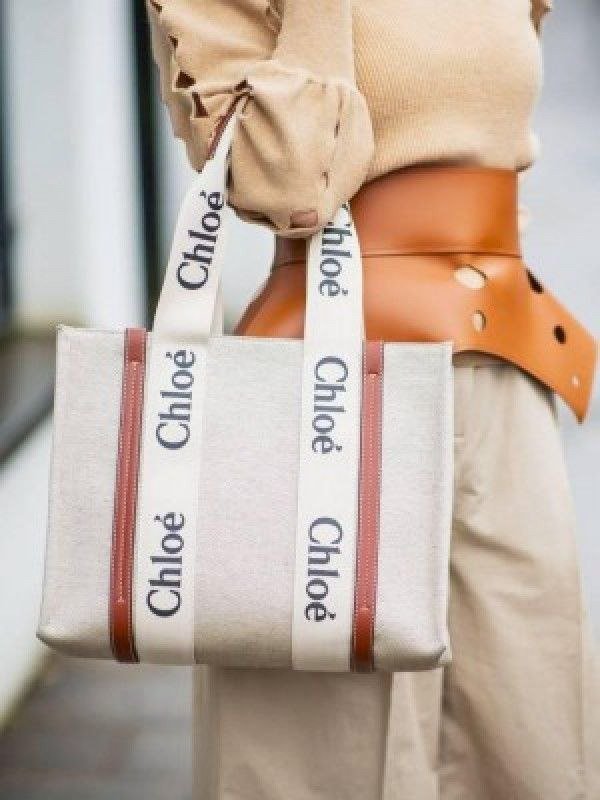 Stylish Chloe Handbag For Women (LAB1597) - stayhit.in Stylish Chloe Handbag For Women (LAB1597) - stayhit.in