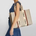 Stylish Chloe Handbag For Women (LAB1597) - stayhit.in