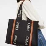 Stylish Chloe Handbag For Women (LAB1598) - stayhit.in
