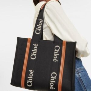 Stylish Chloe Handbag For Women (LAB1598) - stayhit.in