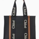 Stylish Chloe Handbag For Women (LAB1598) - stayhit.in