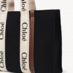 Stylish Chloe Handbag For Women (LAB1598) - stayhit.in