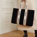 Stylish Chloe Handbag For Women (LAB1598) - stayhit.in