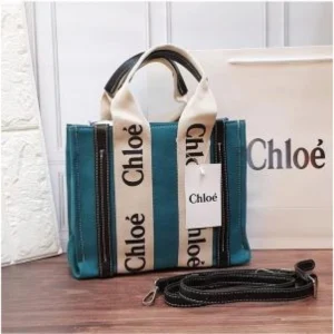 Stylish Chloe Tote Bag For Women (BOT4045) - stayhit.in