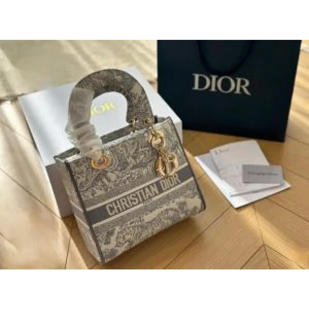Stylish Christian Dior Bag With Box For Women (SUP8281) - stayhit.in Stylish Christian Dior Bag With Box For Women (SUP8281) - stayhit.in