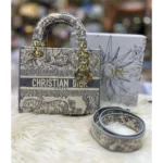 Stylish Christian Dior Bag With Og Box & Dust Bag For Women (LAB511) - stayhit.in