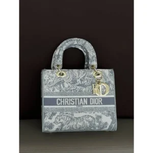 Stylish Christian Dior Bag With Og Box & Dust Bag For Women (LAB511) - stayhit.in