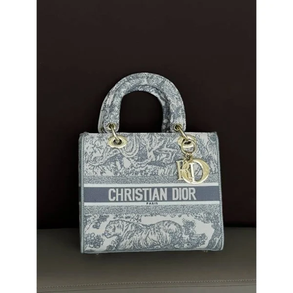 Stylish Christian Dior Bag With Og Box & Dust Bag For Women (LAB511) - stayhit.in Stylish Christian Dior Bag With Og Box & Dust Bag For Women (LAB511) - stayhit.in
