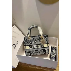 Stylish Christian Dior Bag With Og Box For Women (SUP8280) - stayhit.in