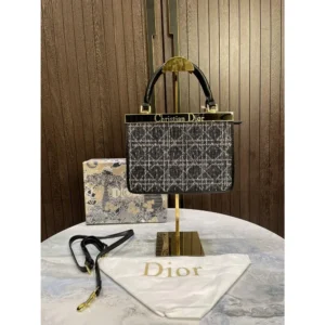 Stylish Christian Dior Handbag For Women (BOT1737) - stayhit.in