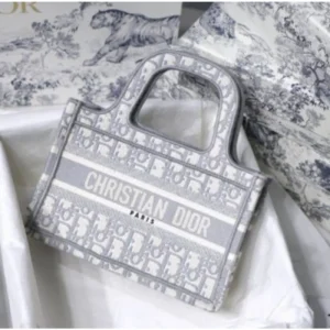 Stylish Christian Dior Handbag For Women (BOT1768) - stayhit.in