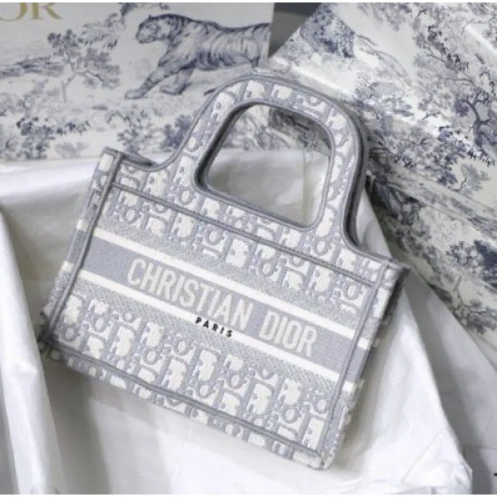 Stylish Christian Dior Handbag For Women (BOT1768) - stayhit.in Stylish Christian Dior Handbag For Women (BOT1768) - stayhit.in