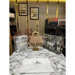 Stylish Christian Dior Handbag For Women (BOT1775) - stayhit.in