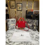 Stylish Christian Dior Handbag For Women (BOT1791) - stayhit.in