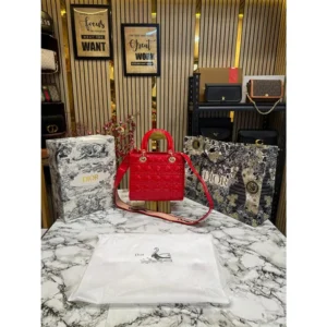 Stylish Christian Dior Handbag For Women (BOT1791) - stayhit.in