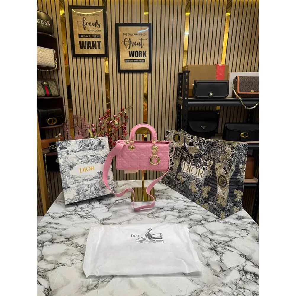 Stylish Christian Dior Handbag For Women (BOT1793) - stayhit.in Stylish Christian Dior Handbag For Women (BOT1793) - stayhit.in