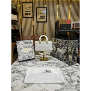 Stylish Christian Dior Handbag For Women (BOT1794) - stayhit.in