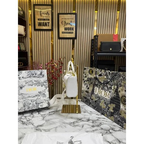 Stylish Christian Dior Handbag For Women (BOT1794) - stayhit.in Stylish Christian Dior Handbag For Women (BOT1794) - stayhit.in
