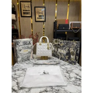 Stylish Christian Dior Handbag For Women (BOT1794) - stayhit.in