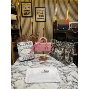 Stylish Christian Dior Handbag For Women (BOT1796) - stayhit.in
