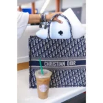 Stylish Christian Dior Handbag For Women (BSF927) - stayhit.in