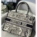 Stylish Christian Dior Handbag For Women (BSF928) - stayhit.in