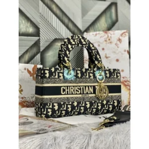 Stylish Christian Dior Handbag For Women (BSF954) - stayhit.in