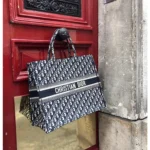 Stylish Christian Dior Handbag For Women (LAB1188) - stayhit.in