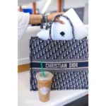 Stylish Christian Dior Handbag For Women (LAB1188) - stayhit.in